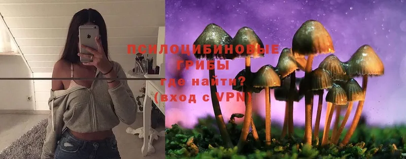 Галлюциногенные грибы Psilocybe  хочу наркоту  Уяр 